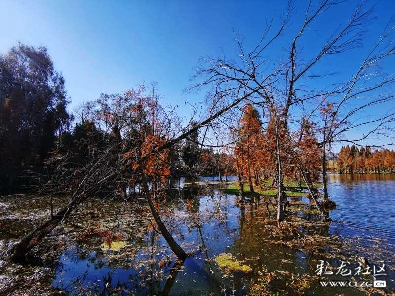 胡锡进:午后大涨了这么多,证监会今天捅破了诸多疑惑